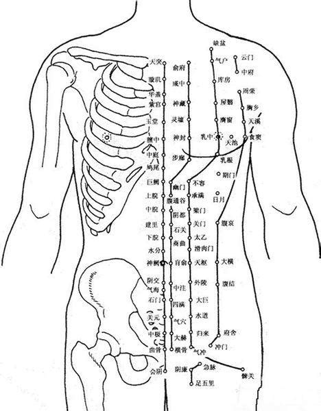 七沖門|賁門、幽門、闌門、魄門（七沖門）的意義與穴位的關係如何？